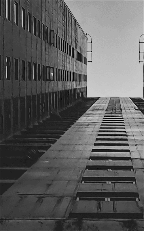 alt web banner