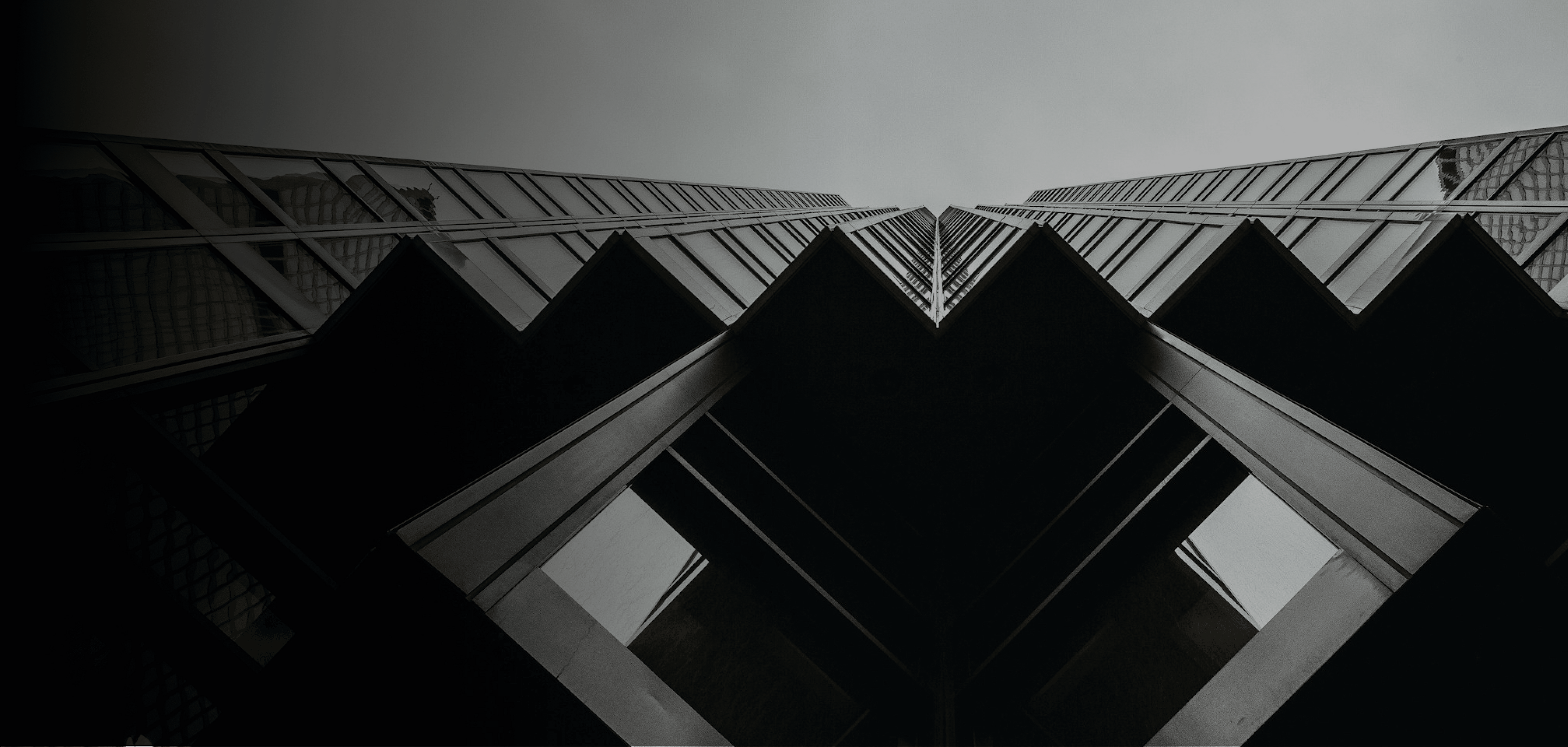 alt web banner