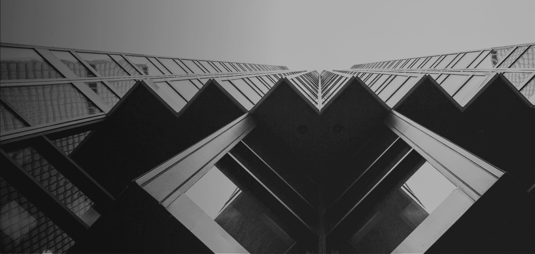 alt web banner